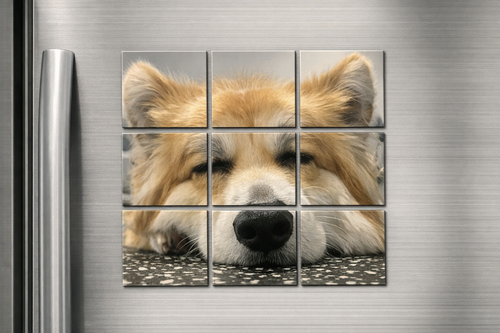 Custom Magnet Puzzle